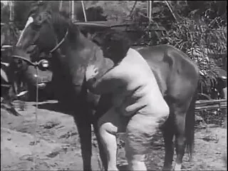 GOVIBRA Oyuncak Onu Pussy sisman turk sikis On Beklemede Başlat 2 Şimdi Onu Tease