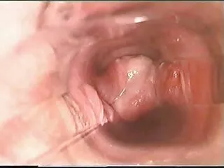 Sana Nasıl türkçe şişman porno Öğreteceğim