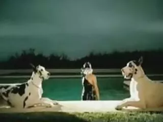 Frank ve Archibald videoda şişko porno türk korkak korkak